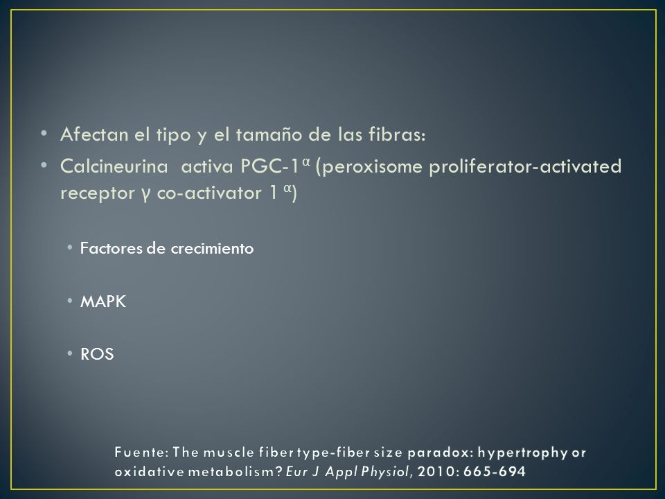 Afectan el tipo y el tamaño de las fibras: