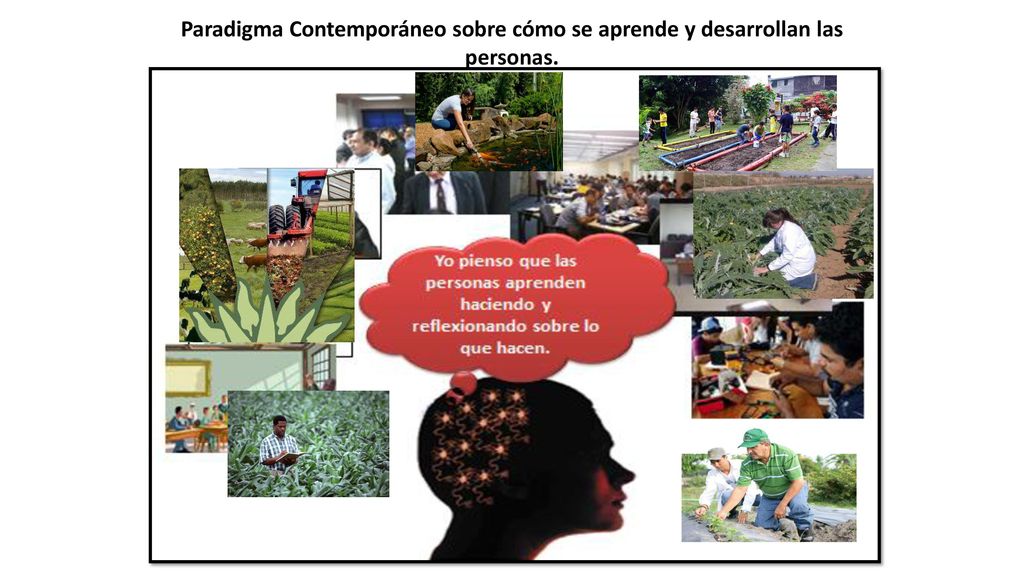 Paradigma Contemporáneo sobre cómo se aprende y desarrollan las personas.