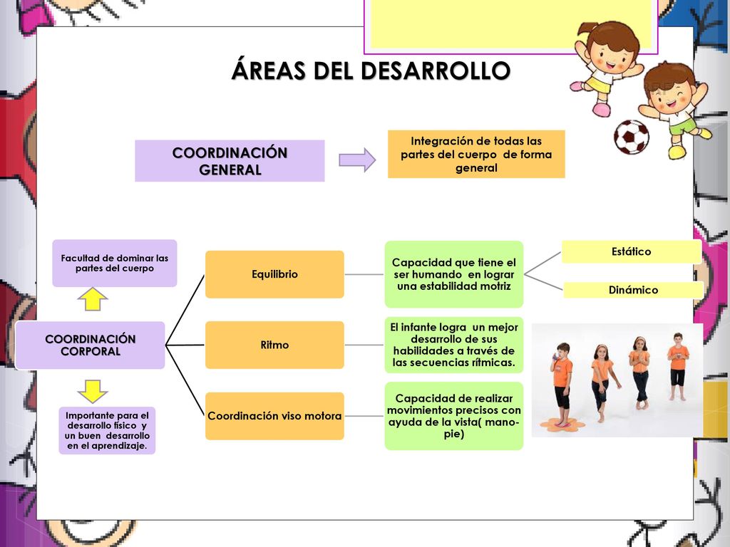 Integración de todas las partes del cuerpo de forma general