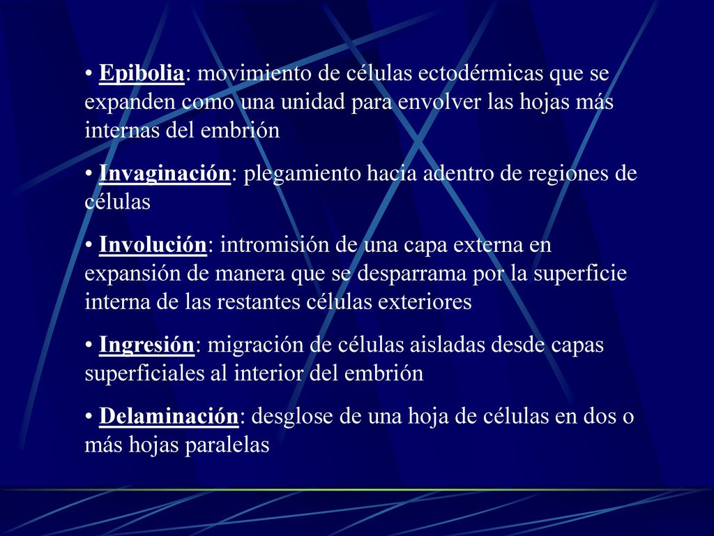 Epibolia: movimiento de células ectodérmicas que se expanden como una unidad para envolver las hojas más internas del embrión