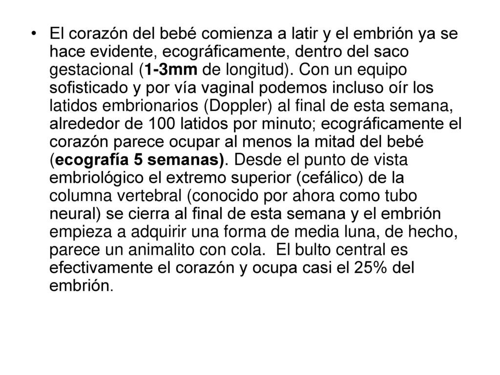 El corazón del bebé comienza a latir y el embrión ya se hace evidente, ecográficamente, dentro del saco gestacional (1-3mm de longitud).