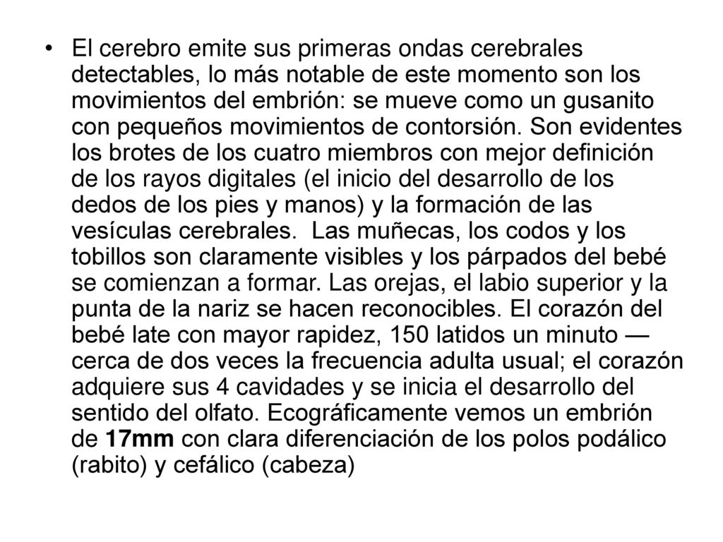El cerebro emite sus primeras ondas cerebrales detectables, lo más notable de este momento son los movimientos del embrión: se mueve como un gusanito con pequeños movimientos de contorsión.