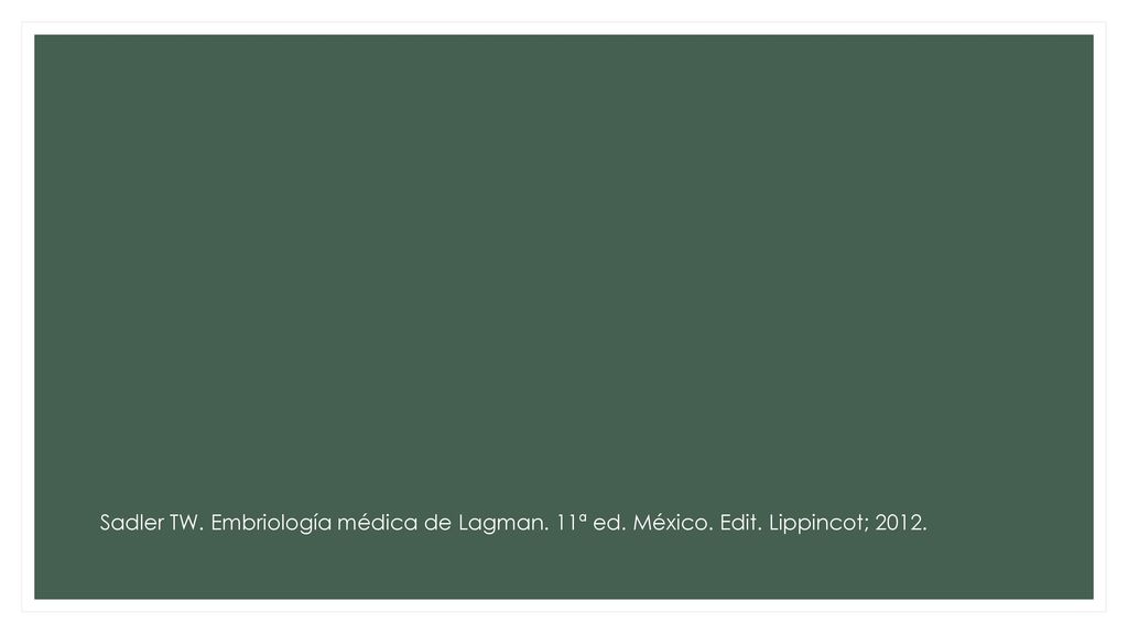 Sadler TW. Embriología médica de Lagman. 11ª ed. México. Edit