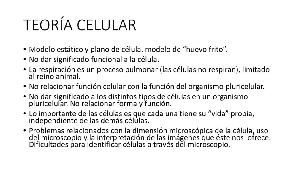 TEORÍA CELULAR Modelo estático y plano de célula. modelo de huevo frito . No dar significado funcional a la célula.
