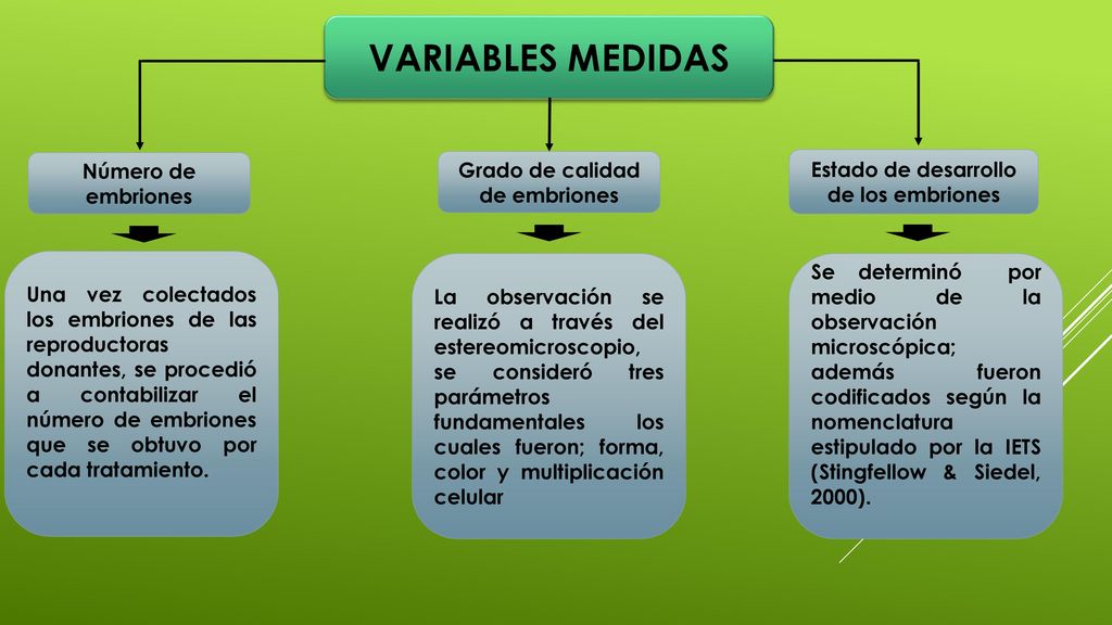 Grado de calidad de embriones Estado de desarrollo de los embriones