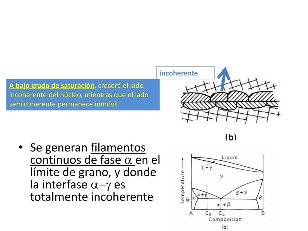 incoherente A bajo grado de saturación, crecerá el lado incoherente del núcleo, mientras que el lado semicoherente permanece inmóvil.