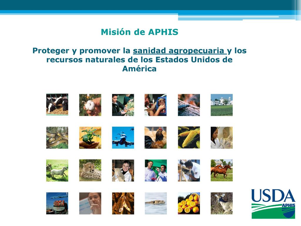 Misión de APHIS Proteger y promover la sanidad agropecuaria y los recursos naturales de los Estados Unidos de América.