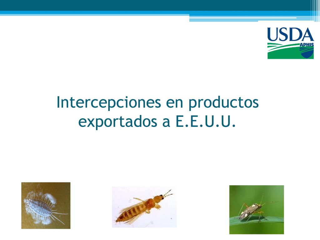 Intercepciones en productos exportados a E.E.U.U.