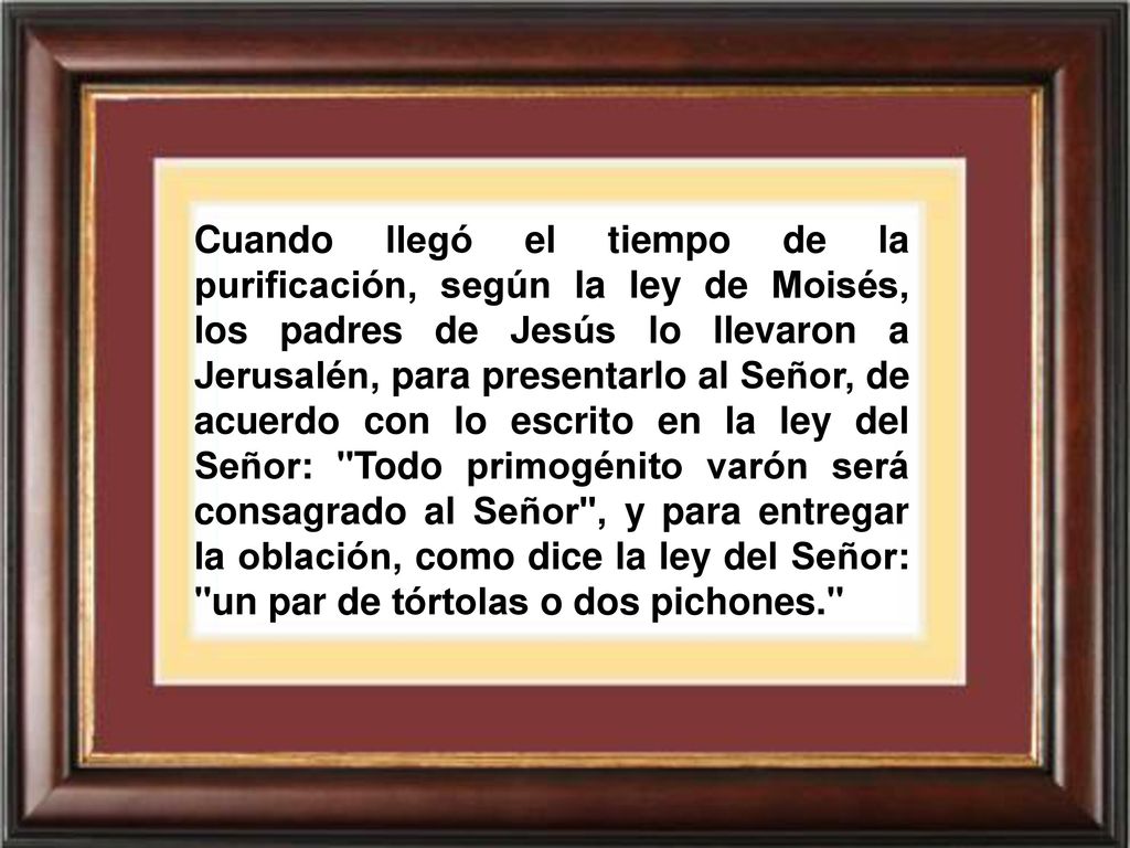 Cuando llegó el tiempo de la purificación, según la ley de Moisés, los padres de Jesús lo llevaron a Jerusalén, para presentarlo al Señor, de acuerdo con lo escrito en la ley del Señor: Todo primogénito varón será consagrado al Señor , y para entregar la oblación, como dice la ley del Señor: un par de tórtolas o dos pichones.