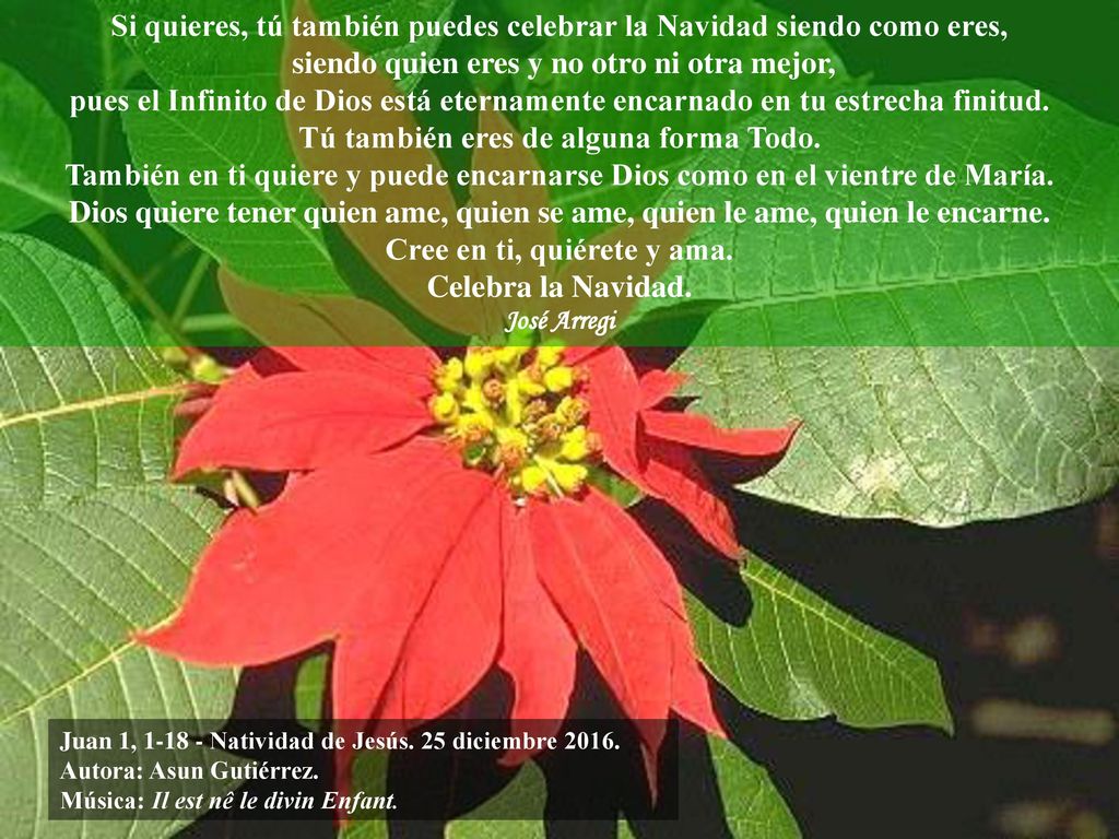 Si quieres, tú también puedes celebrar la Navidad siendo como eres, siendo quien eres y no otro ni otra mejor, pues el Infinito de Dios está eternamente encarnado en tu estrecha finitud. Tú también eres de alguna forma Todo. También en ti quiere y puede encarnarse Dios como en el vientre de María. Dios quiere tener quien ame, quien se ame, quien le ame, quien le encarne. Cree en ti, quiérete y ama. Celebra la Navidad.