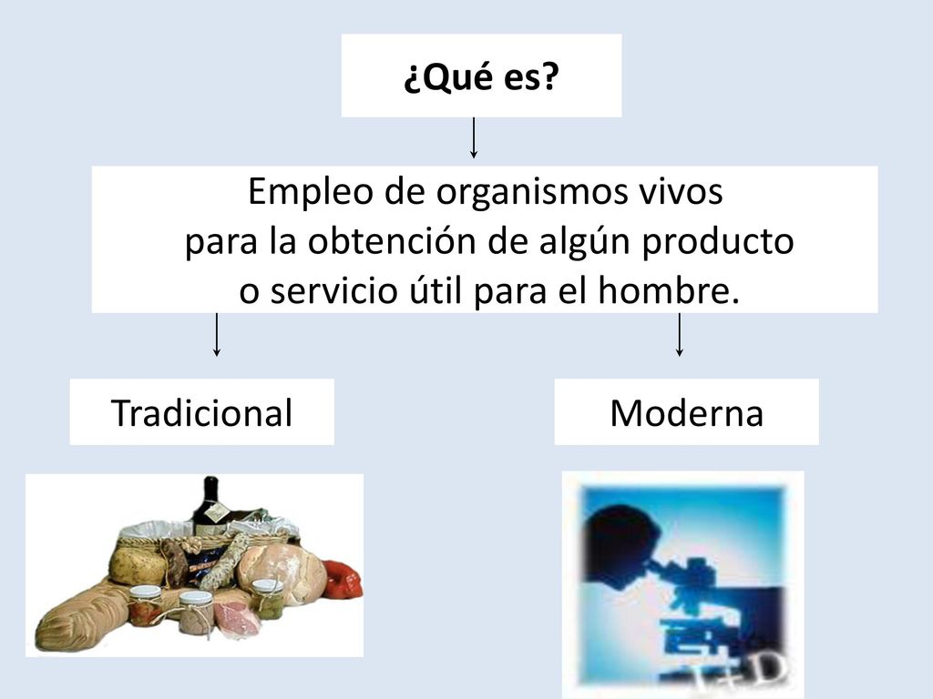 Empleo de organismos vivos para la obtención de algún producto