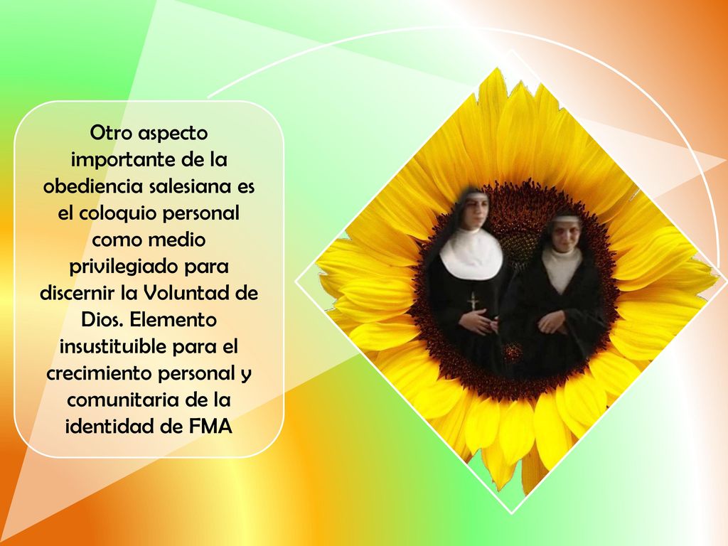 Otro aspecto importante de la obediencia salesiana es el coloquio personal como medio privilegiado para discernir la Voluntad de Dios.
