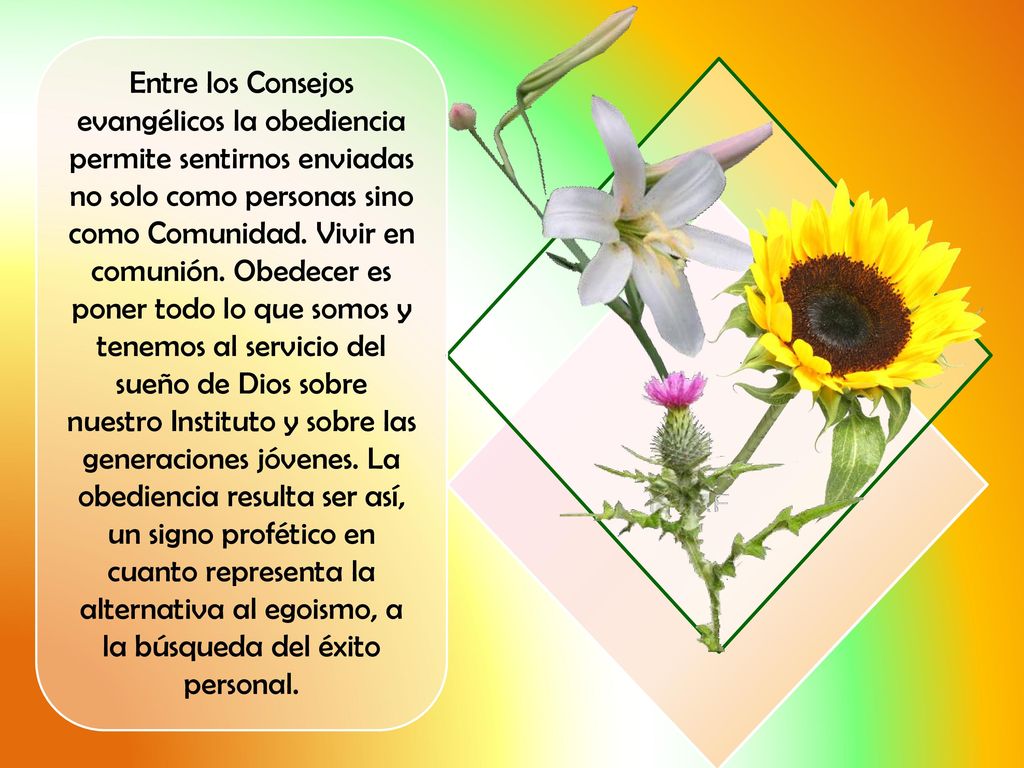 Entre los Consejos evangélicos la obediencia permite sentirnos enviadas no solo como personas sino como Comunidad.