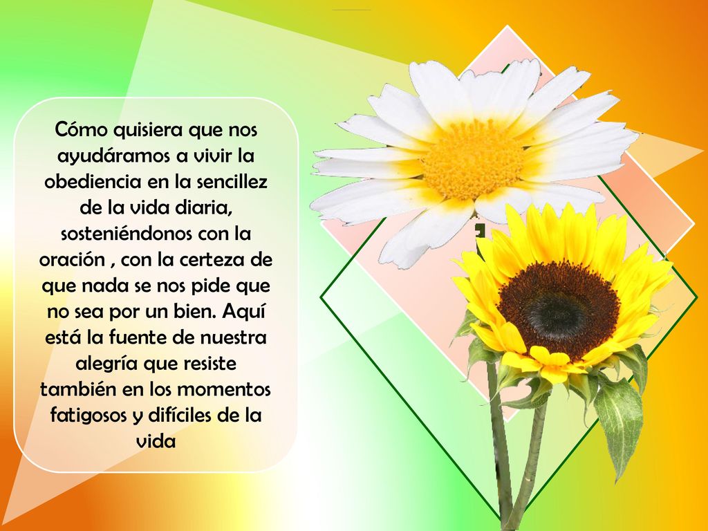 Cómo quisiera que nos ayudáramos a vivir la obediencia en la sencillez de la vida diaria, sosteniéndonos con la oración , con la certeza de que nada se nos pide que no sea por un bien.