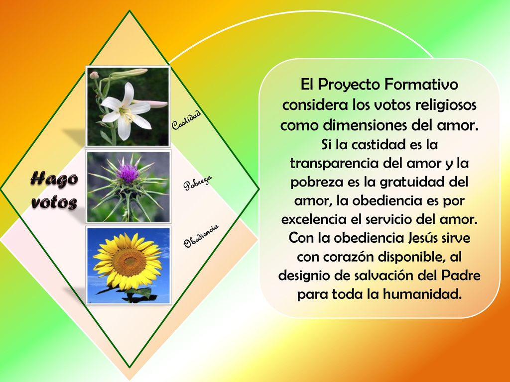 P El Proyecto Formativo considera los votos religiosos como dimensiones del amor.
