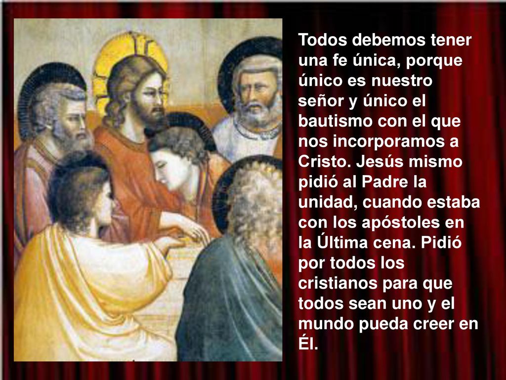 Todos debemos tener una fe única, porque único es nuestro señor y único el bautismo con el que nos incorporamos a Cristo.