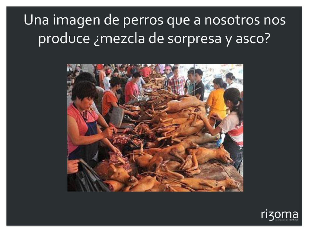 Una imagen de perros que a nosotros nos produce ¿mezcla de sorpresa y asco