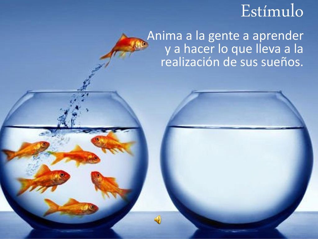 Estímulo Anima a la gente a aprender y a hacer lo que lleva a la realización de sus sueños.
