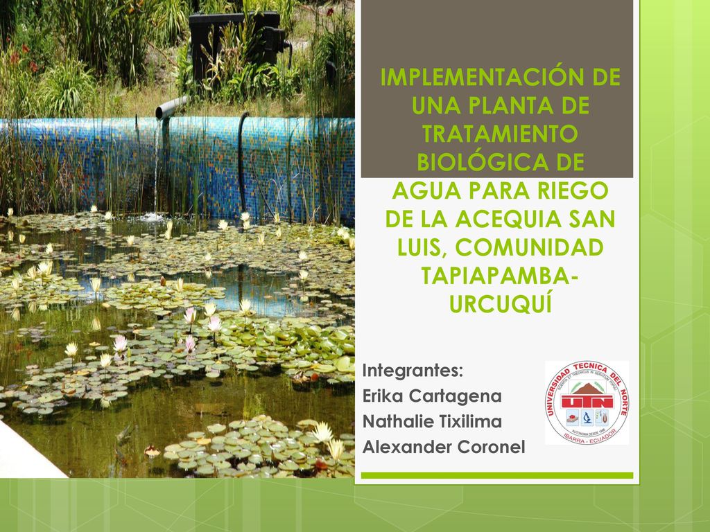 Integrantes: Erika Cartagena Nathalie Tixilima Alexander Coronel