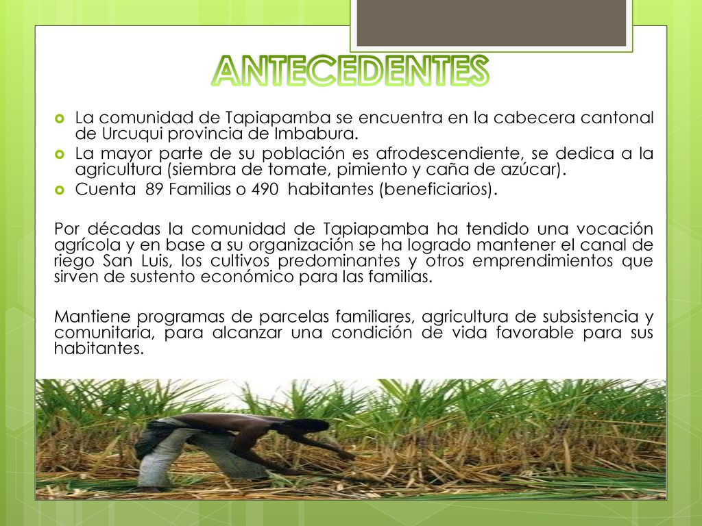 ANTECEDENTES La comunidad de Tapiapamba se encuentra en la cabecera cantonal de Urcuqui provincia de Imbabura.
