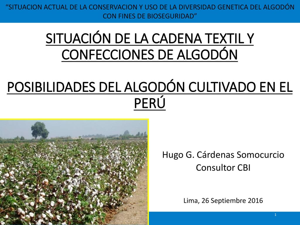 Hugo G. Cárdenas Somocurcio Consultor CBI Lima, 26 Septiembre 2016