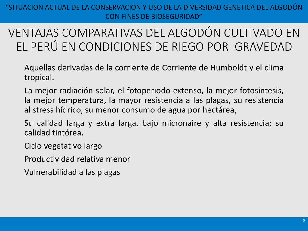 VENTAJAS COMPARATIVAS DEL ALGODÓN CULTIVADO EN EL PERÚ EN CONDICIONES DE RIEGO POR GRAVEDAD