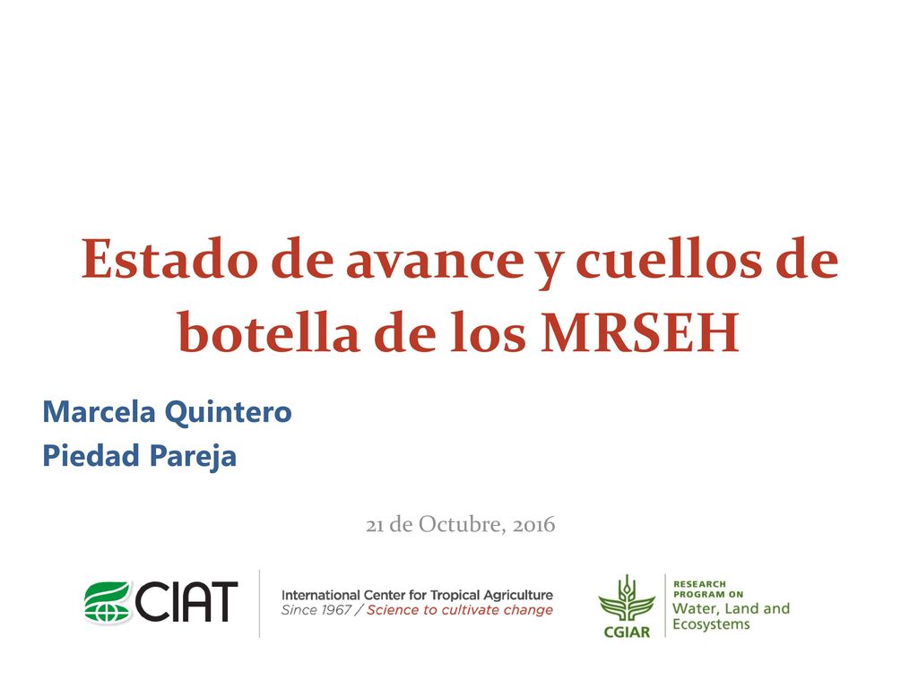 Estado de avance y cuellos de botella de los MRSEH