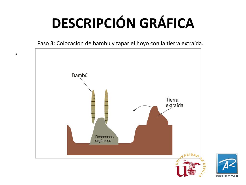 DESCRIPCIÓN GRÁFICA Paso 3: Colocación de bambú y tapar el hoyo con la tierra extraída. .