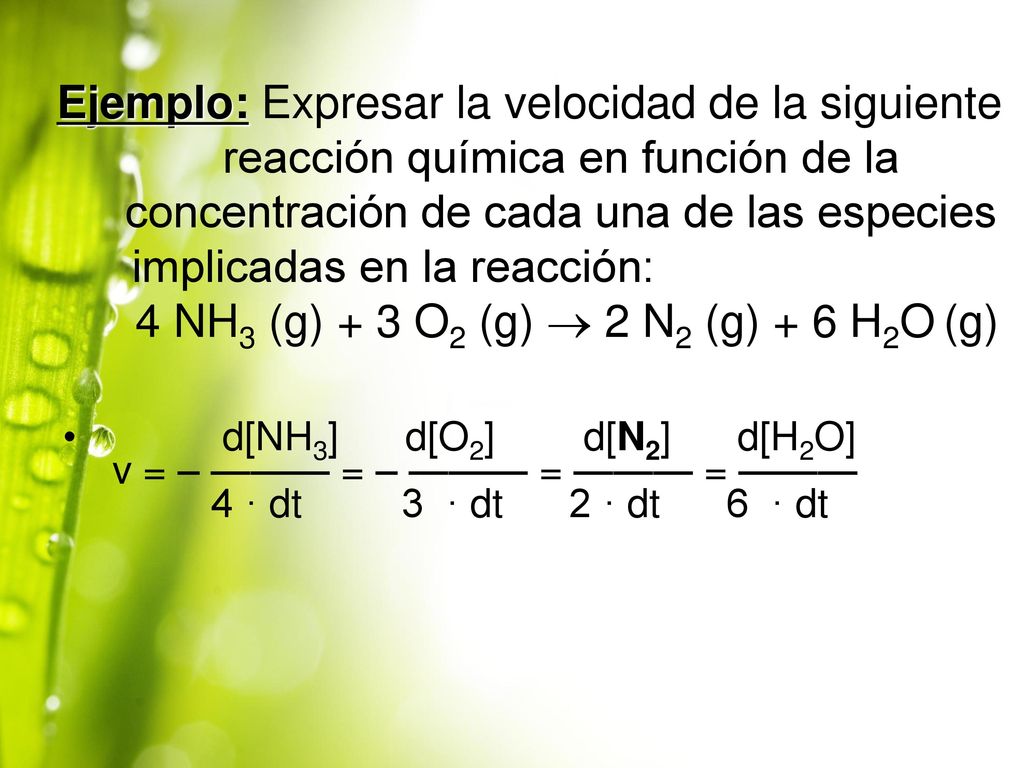 Ejemplo: Expresar la velocidad de la siguiente reacción química en función de la concentración de cada una de las especies implicadas en la reacción: 4 NH3 (g) + 3 O2 (g)  2 N2 (g) + 6 H2O (g)