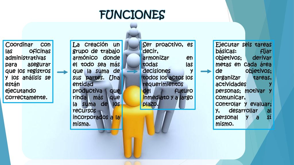 FUNCIONES Coordinar con las oficinas administrativas para asegurar que los registros y los análisis se están ejecutando correctamente.