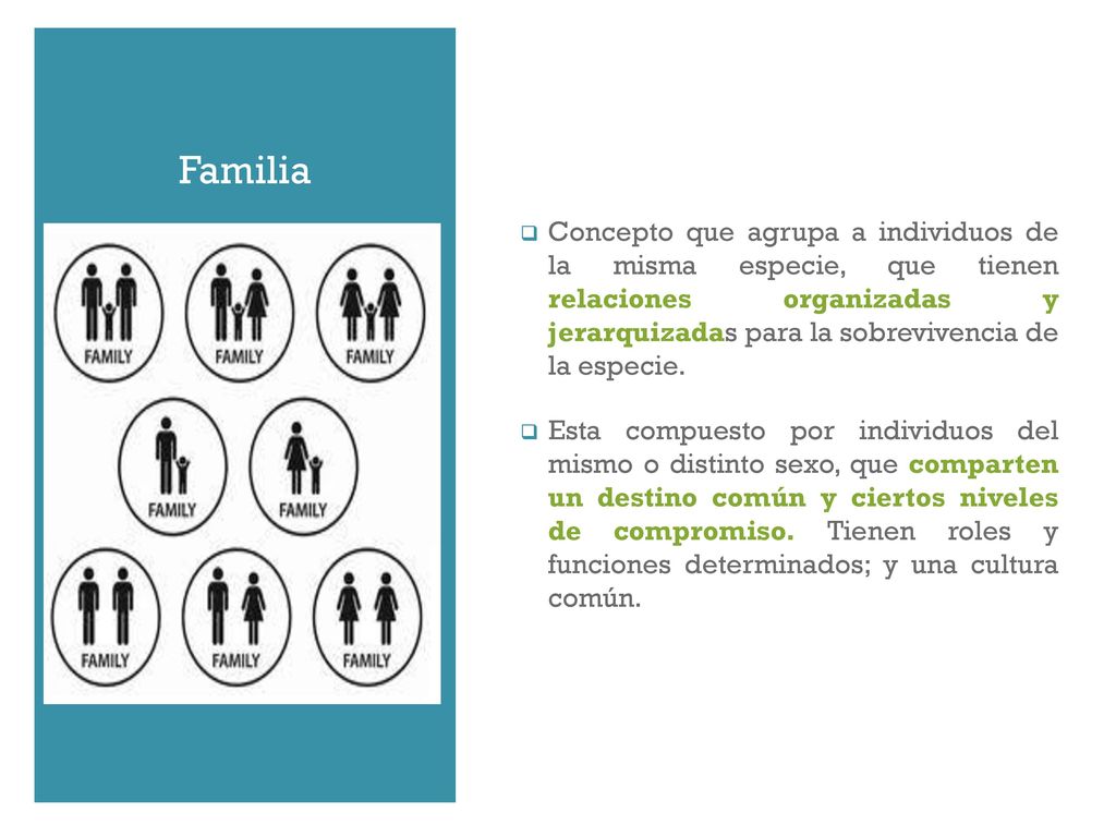 Concepto que agrupa a individuos de la misma especie, que tienen relaciones organizadas y jerarquizadas para la sobrevivencia de la especie.