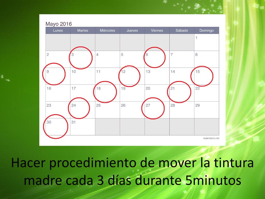 Hacer procedimiento de mover la tintura madre cada 3 días durante 5minutos