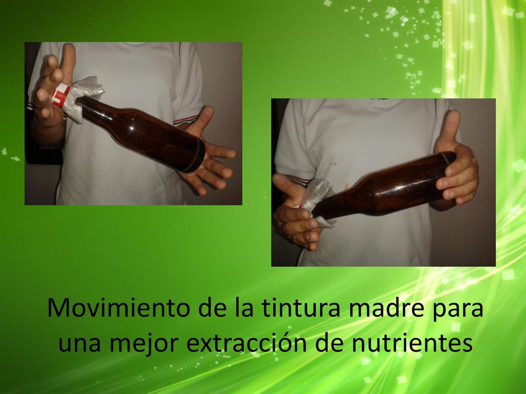 Movimiento de la tintura madre para una mejor extracción de nutrientes