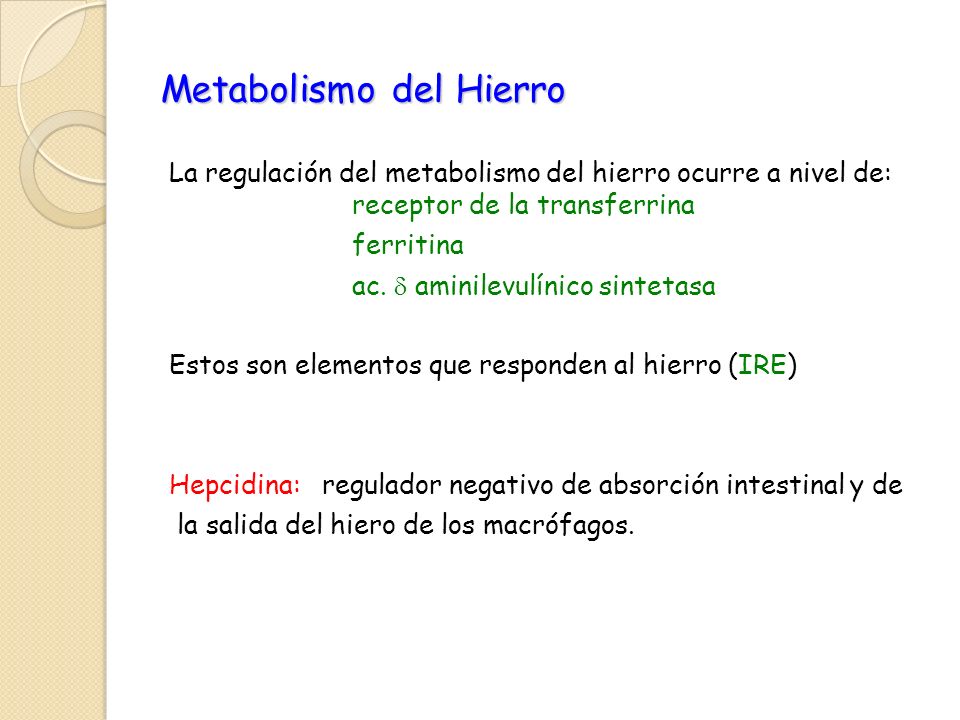 Metabolismo del Hierro