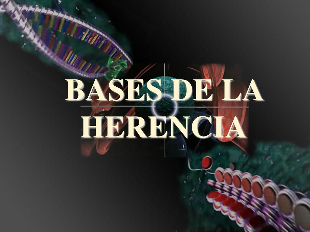 BASES DE LA HERENCIA Introducción a los fundamentos de duplicación y expresión de ADN