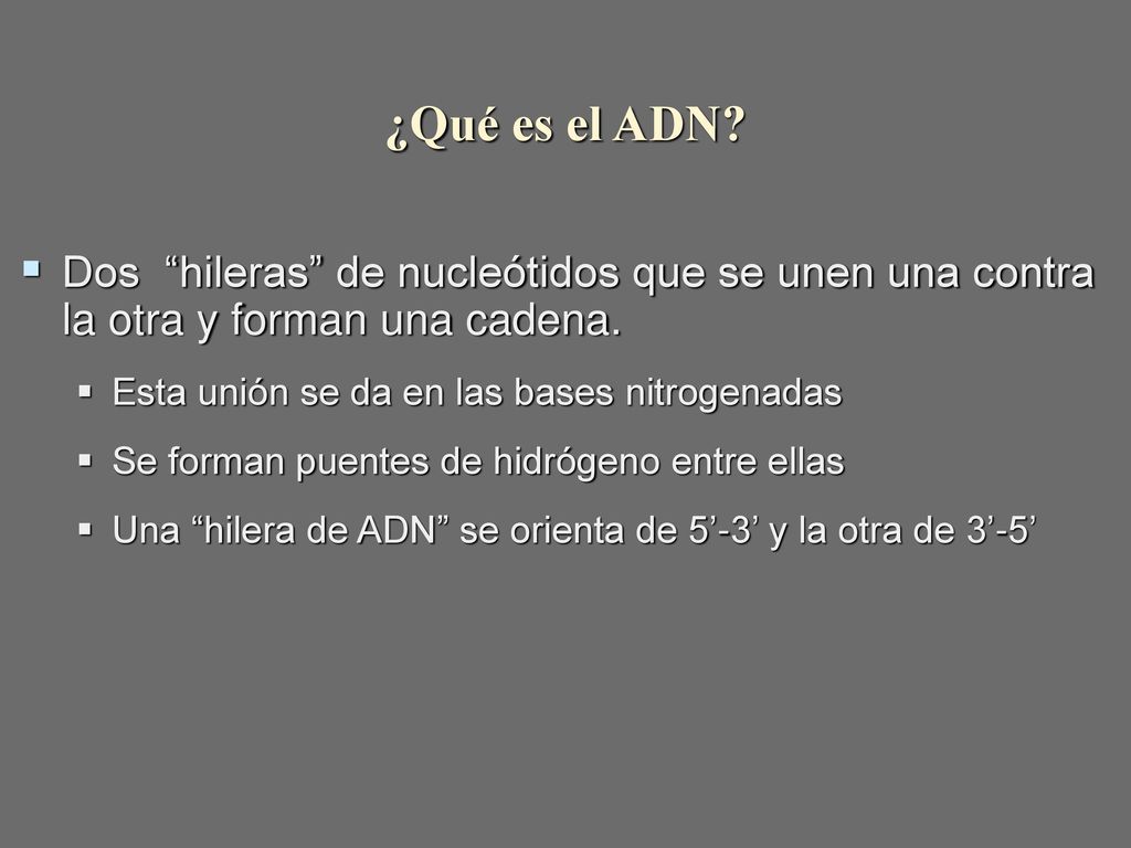 ¿Qué es el ADN Dos hileras de nucleótidos que se unen una contra la otra y forman una cadena. Esta unión se da en las bases nitrogenadas.