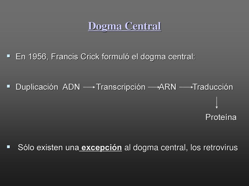 Dogma Central En 1956, Francis Crick formuló el dogma central: