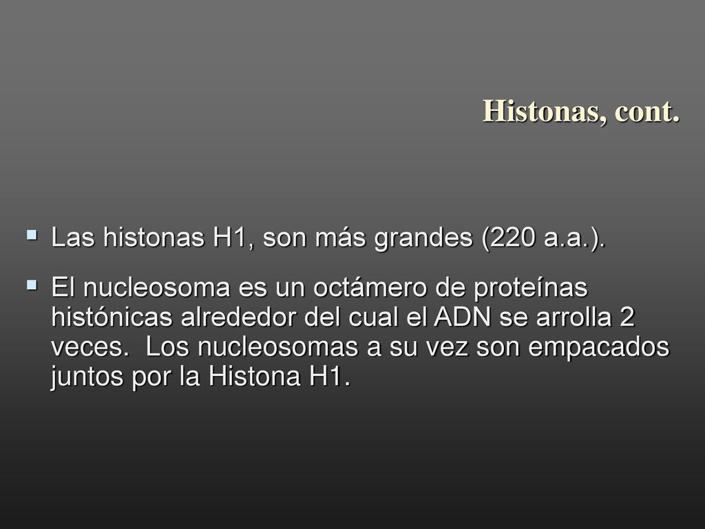 Histonas, cont. Las histonas H1, son más grandes (220 a.a.).