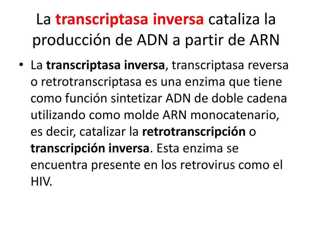 La transcriptasa inversa cataliza la producción de ADN a partir de ARN