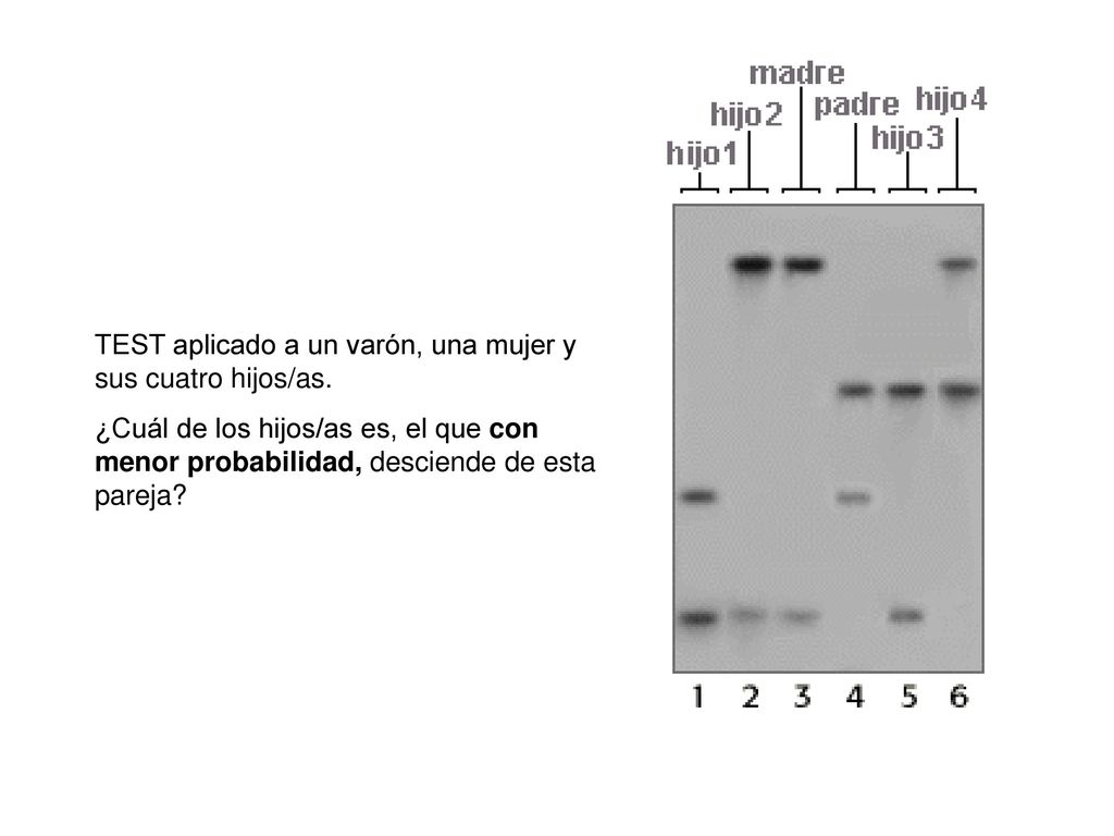 TEST aplicado a un varón, una mujer y sus cuatro hijos/as.