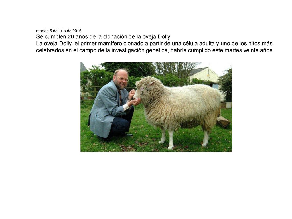 Se cumplen 20 años de la clonación de la oveja Dolly