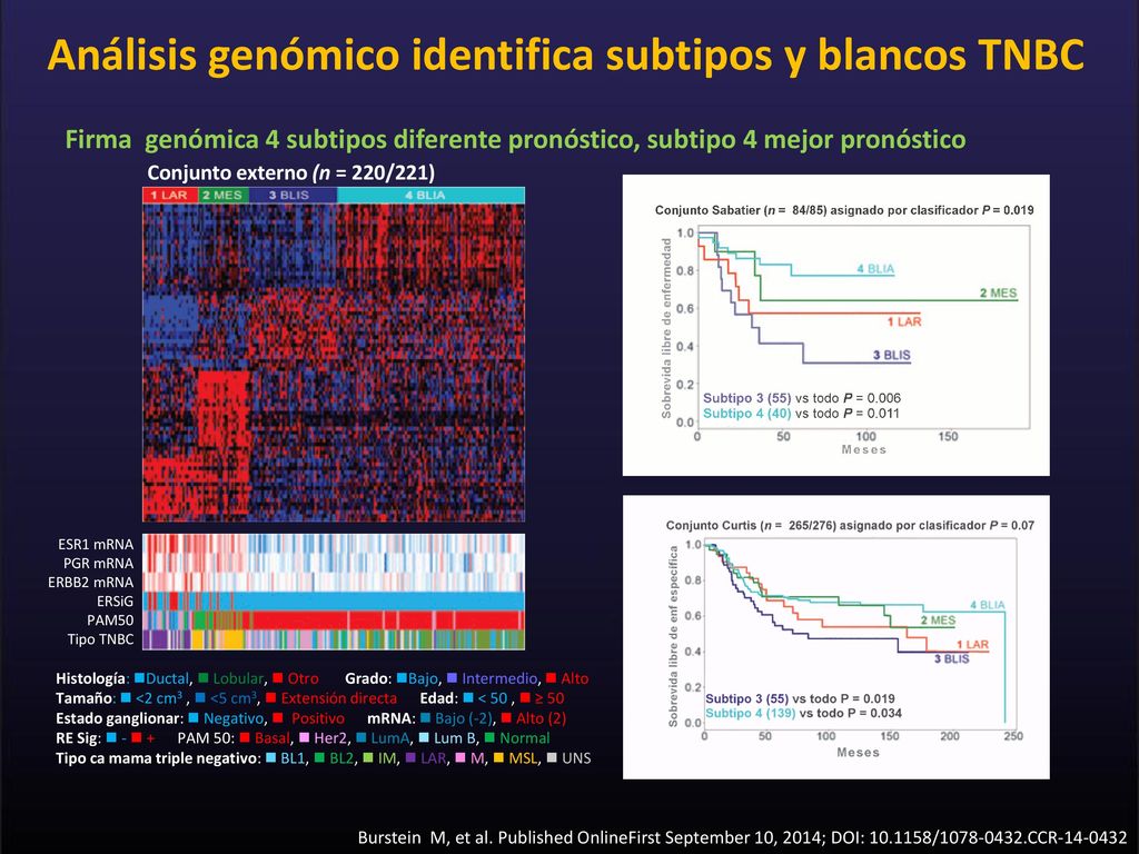 Análisis genómico identifica subtipos y blancos TNBC