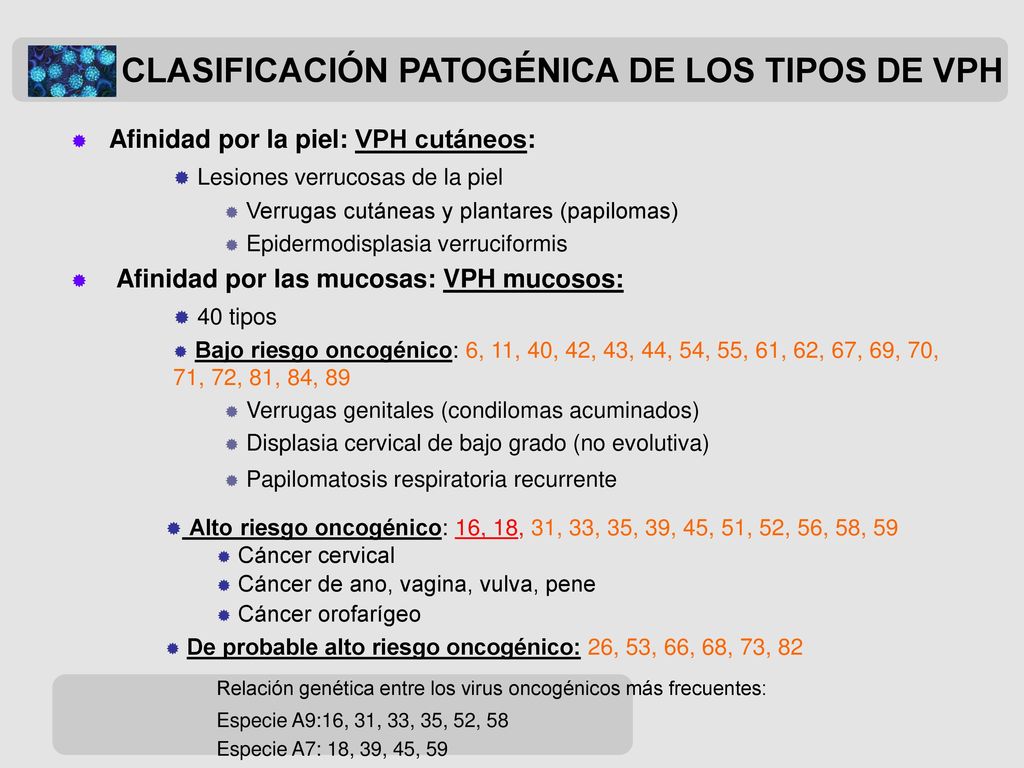 CLASIFICACIÓN PATOGÉNICA DE LOS TIPOS DE VPH