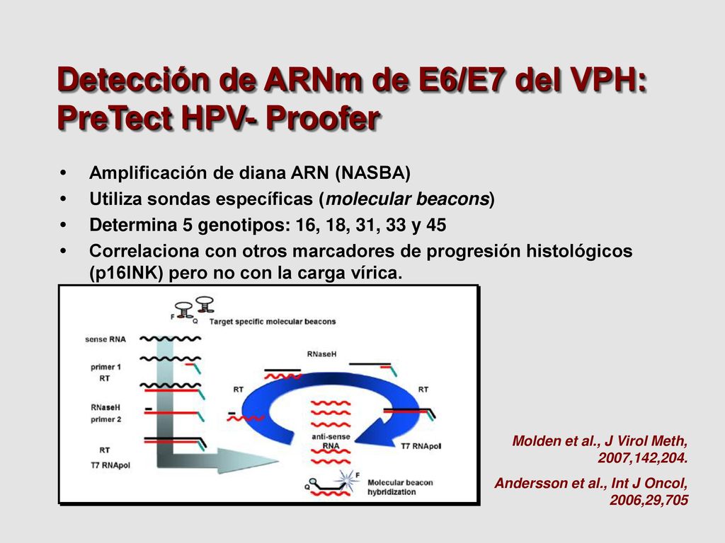 Detección de ARNm de E6/E7 del VPH: PreTect HPV- Proofer