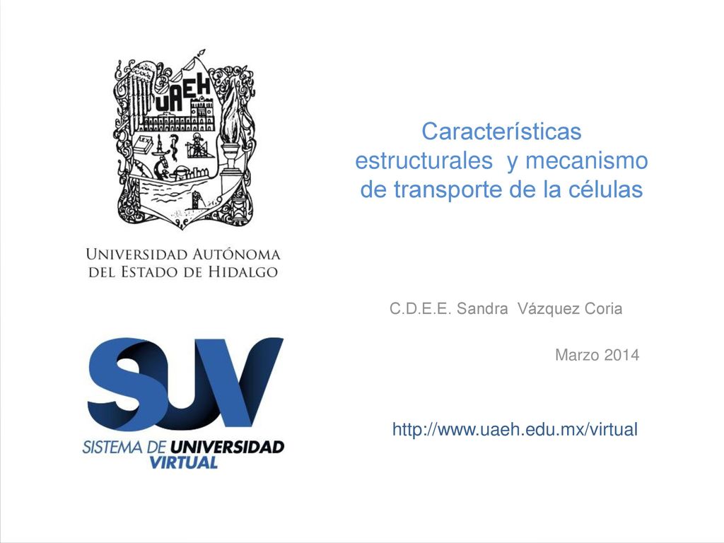 Características estructurales y mecanismo de transporte de la células