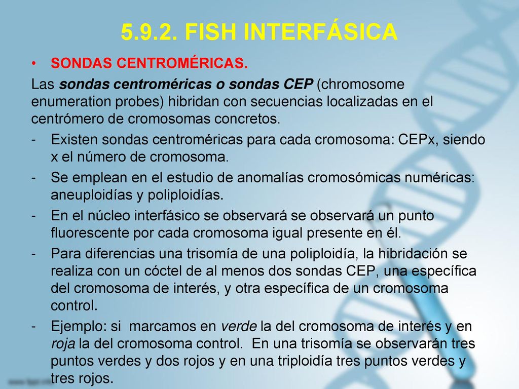FISH INTERFÁSICA SONDAS CENTROMÉRICAS.