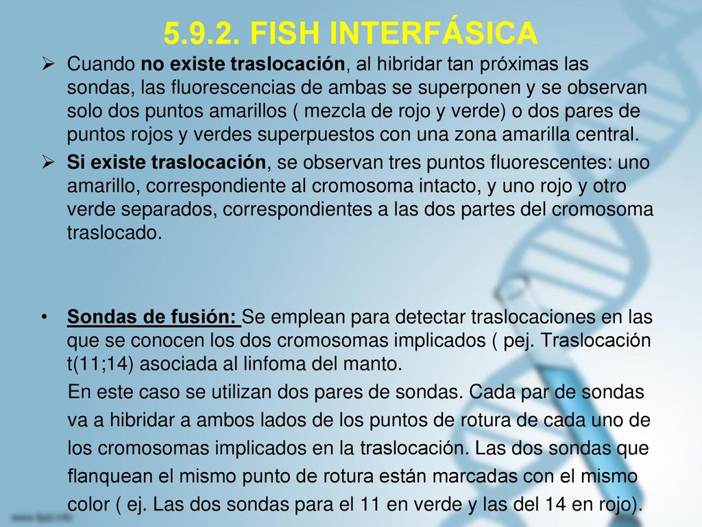 FISH INTERFÁSICA