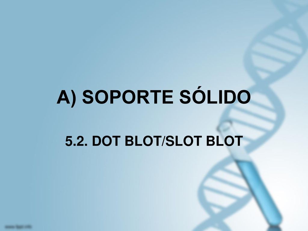 A) SOPORTE SÓLIDO 5.2. DOT BLOT/SLOT BLOT