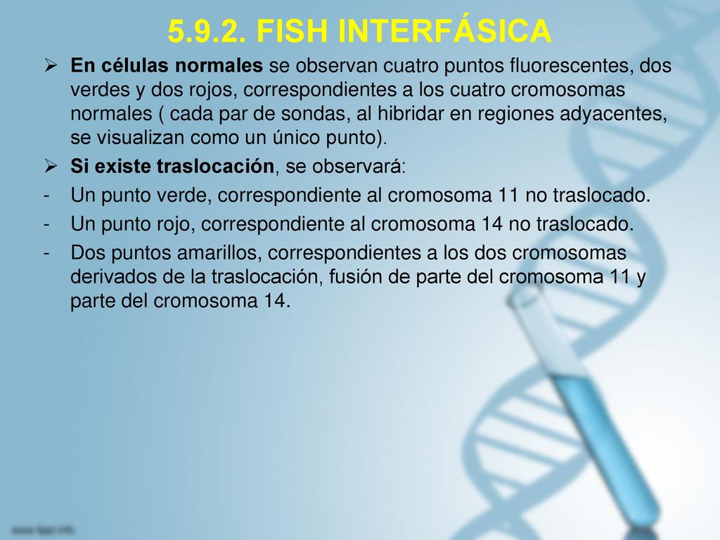 FISH INTERFÁSICA