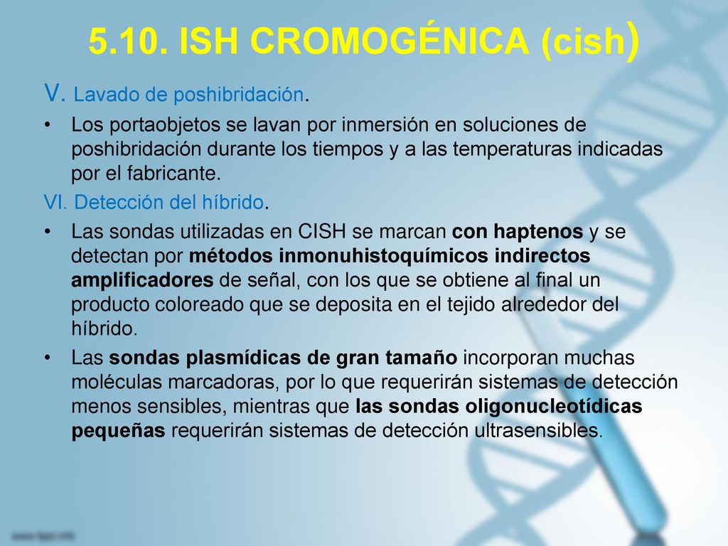 5.10. ISH CROMOGÉNICA (cish)